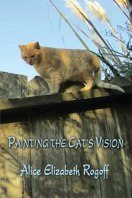 Painting the Cat's Vision - Paperback