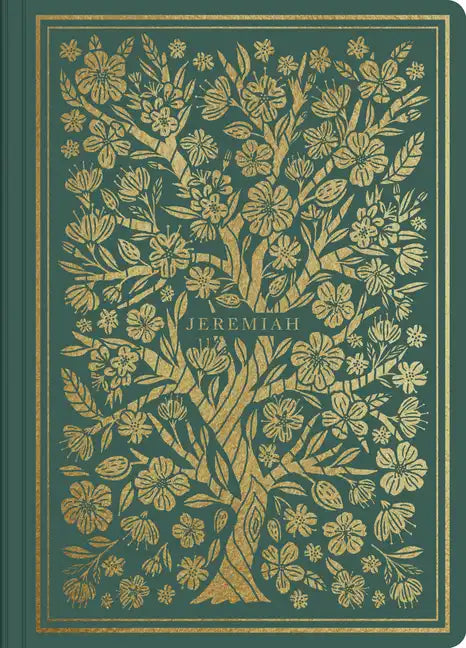 ESV Illuminated Scripture Journal: Jeremiah - Paperback