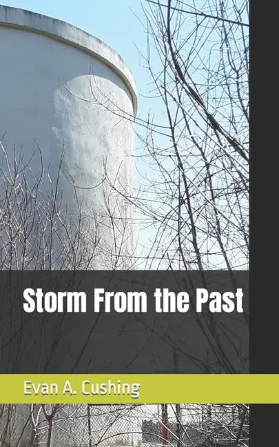 Storm From the Past - Paperback