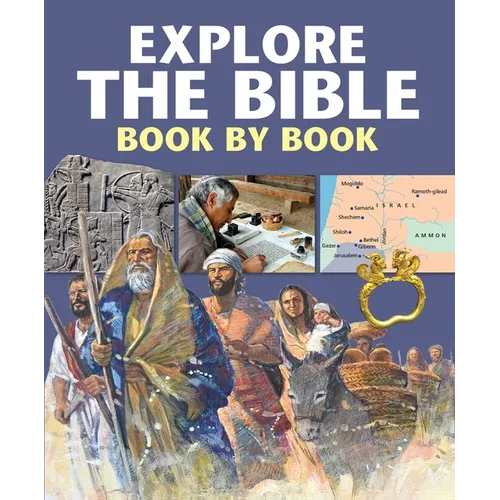 Explore the Bible Book by Book - Hardcover