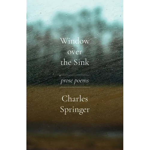 Window over the Sink: Prose Poems - Paperback