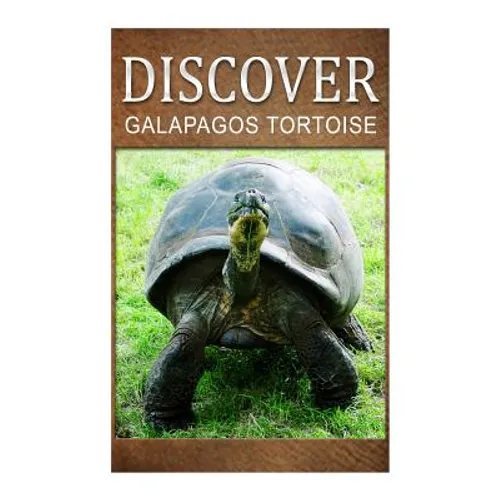 Galapagos Tortoise - Discover: Early reader's wildlife photography book - Paperback