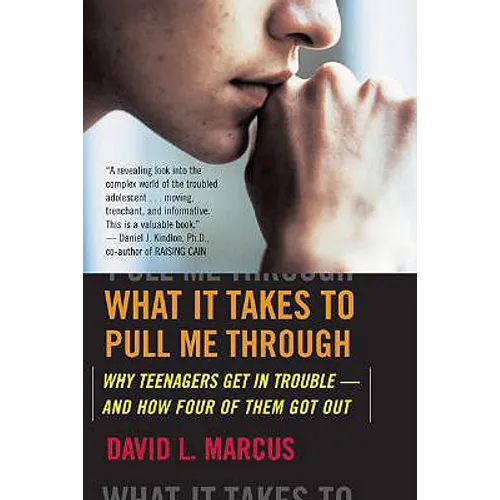What It Takes to Pull Me Through: Why Teenagers Get in Trouble and How Four of Them Got Out - Paperback