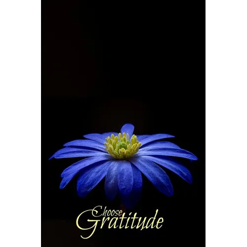 Choose Gratitude - Paperback