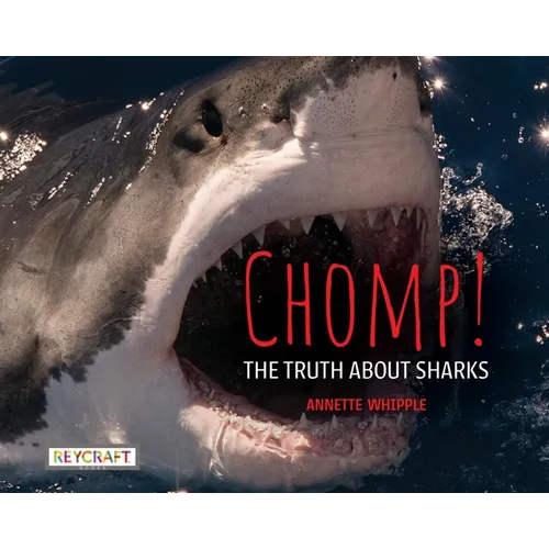 Chomp! the Truth about Sharks - Paperback
