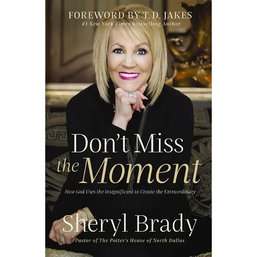 Don't Miss the Moment: How God Uses the Insignificant to Create the Extraordinary - Paperback