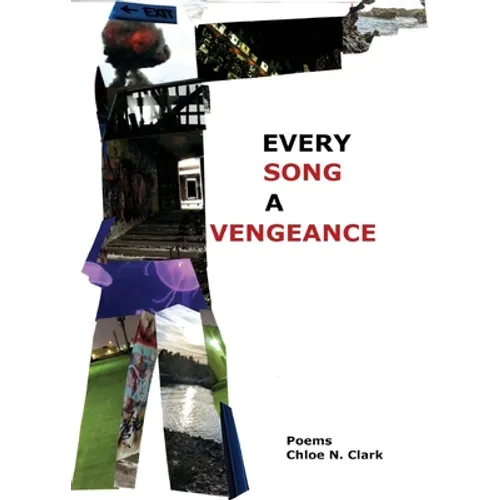 Every Song a Vengeance - Paperback