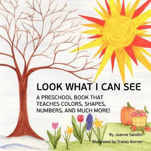 Look What I Can See: A Preschool Book that Teaches Colors, Shapes, Numbers, and Much More! - Paperback