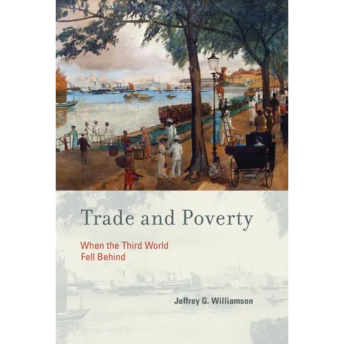 Trade and Poverty: When the Third World Fell Behind - Paperback