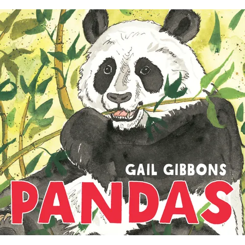 Pandas - Board Book