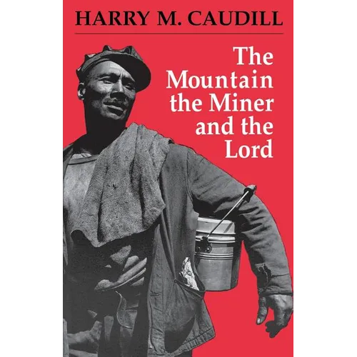The Mountain, the Miner, and the Lord and Other Tales from a Country Law Office - Paperback