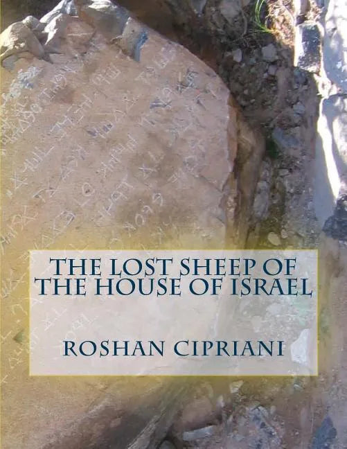 The Lost Sheep Of The House Of Israel - Paperback