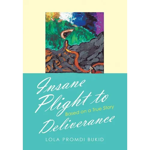 Insane Plight to Deliverance: Based on a True Story - Hardcover