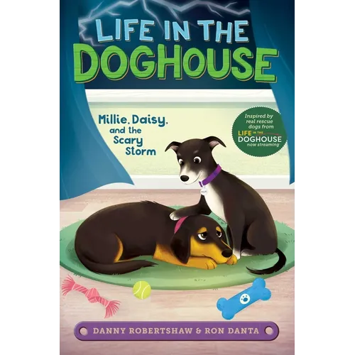 Millie, Daisy, and the Scary Storm - Hardcover