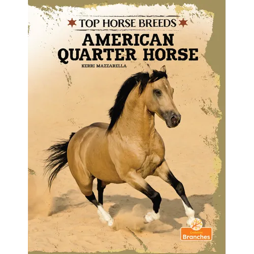 American Quarter Horse - Hardcover