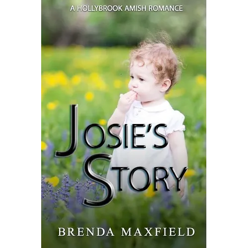 Amish Romance: Josie's Story: A Hollybrook Amish Romance Bundle - Paperback