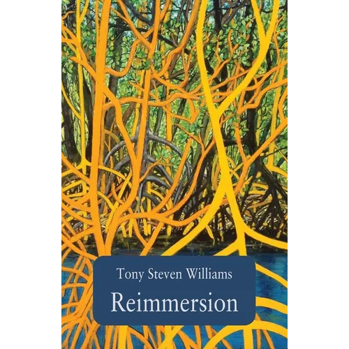 Reimmersion - Paperback