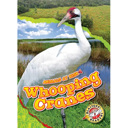 Whooping Cranes - Library Binding