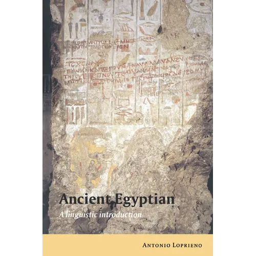 Ancient Egyptian: A Linguistic Introduction - Paperback