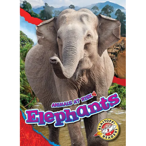 Elephants - Library Binding