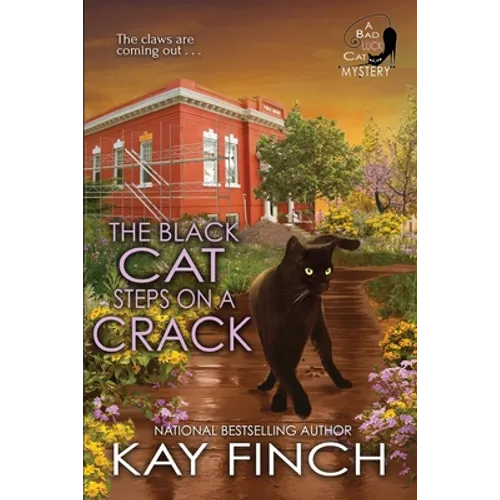 The Black Cat Steps on a Crack - Paperback