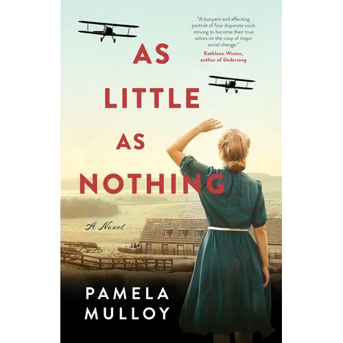 As Little as Nothing - Paperback