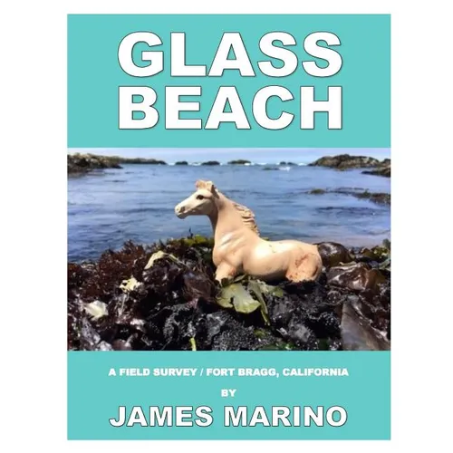 Glass Beach: A Field Survey / Fort Bragg, California - Paperback