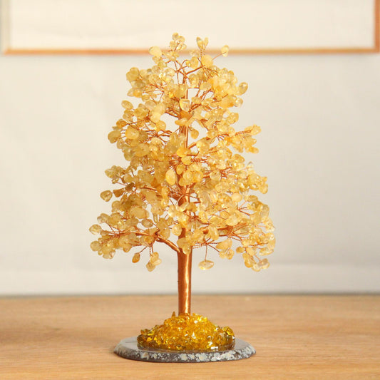 Natural Crystal Money Tree with Pachira Macrocarpa Agate