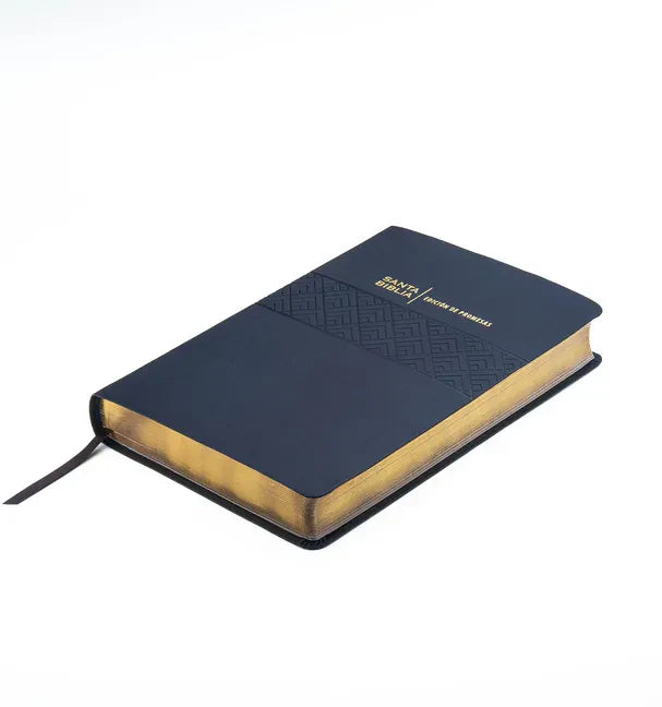 Biblia de Promesas Reina Valera 1960 / Letra Gigante - 13 Puntos / Piel Especial / Negra // Spanish Promise Bible Rvr60 / Giant Print / Leathersoft / - Imitation Leather