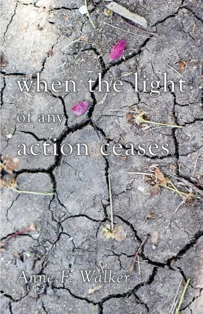 when the light of any action ceases - Paperback