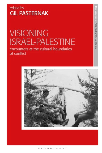 Visioning Israel-Palestine: Encounters at the Cultural Boundaries of Conflict - Paperback