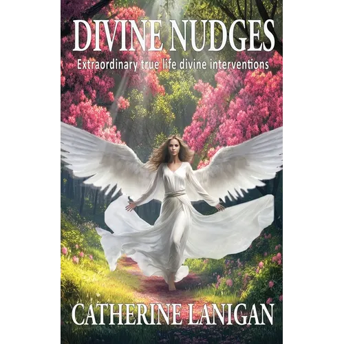 Divine Nudges - Paperback