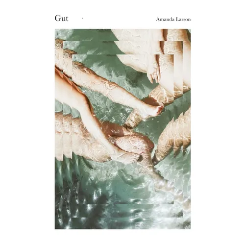 Gut - Paperback