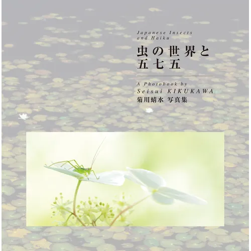Japanese Insects and Haiku - Paperback