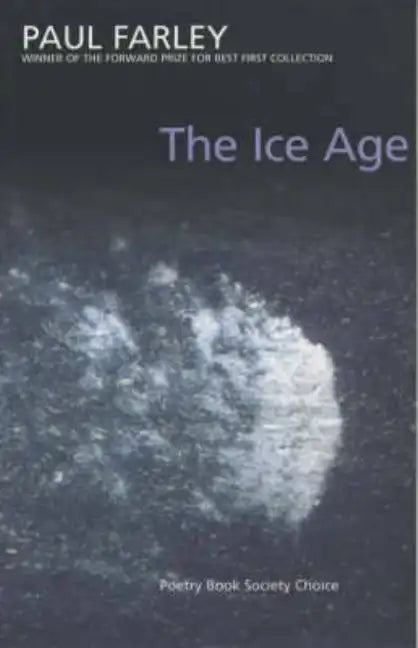 The Ice Age: poems - Paperback