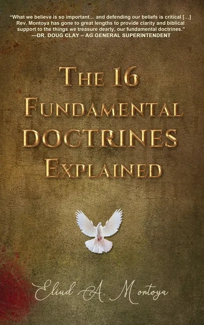 The 16 Fundamental Doctrines Explained - Hardcover