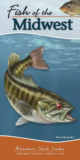 Fish of the Midwest: Your Way to Easily Identify Fish - Spiral