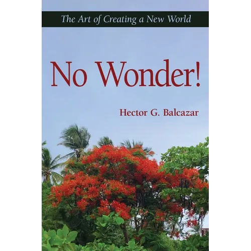 No Wonder!: The Art of Creating a New World - Paperback