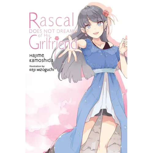 Rascal Does Not Dream of His Girlfriend (Light Novel) - Paperback