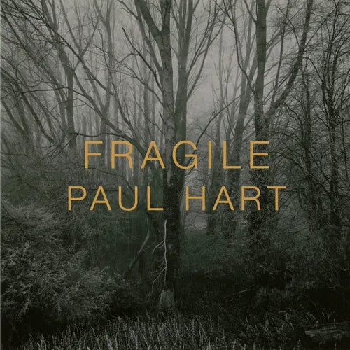 Fragile - Hardcover
