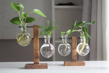 Wooden Frame Holding Glass Vases