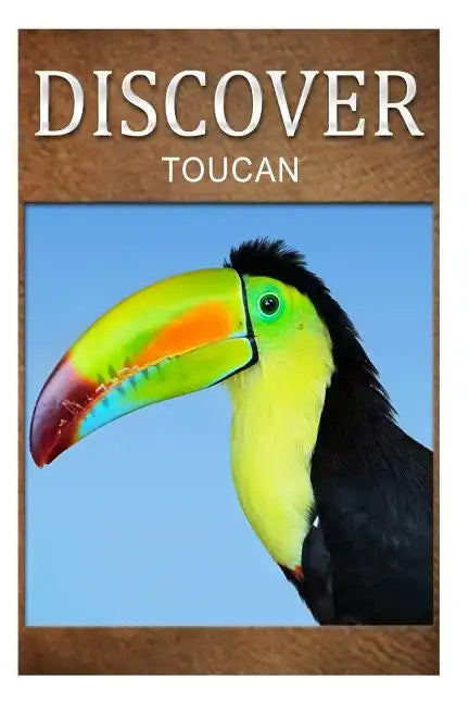 Toucan - Discover: Early reader's wildlife photography book - Paperback