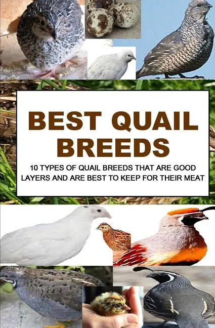 Best Quail Breeds: 10 Types Of Quail Breeds That Are Good Layers And Are Best To Keep For Their Meat - Paperback