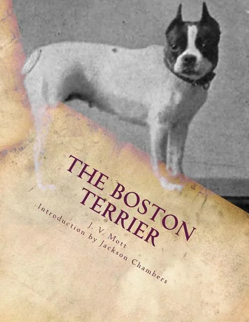 The Boston Terrier - Paperback