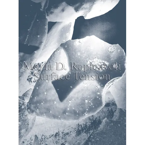 Maria D. Rapicavoli: Surface Tension - Paperback