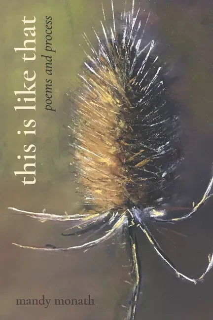 This Is Like That: Poems and Process - Paperback