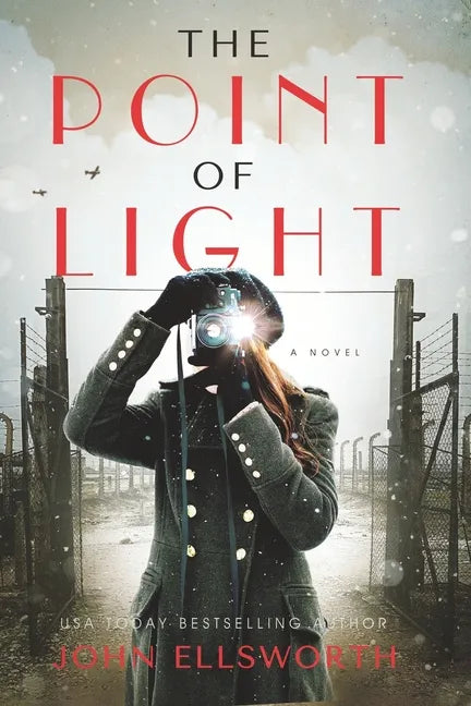 The Point of Light - Paperback