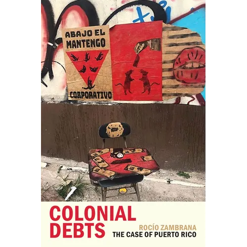 Colonial Debts: The Case of Puerto Rico - Paperback