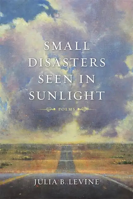 Small Disasters Seen in Sunlight - Paperback