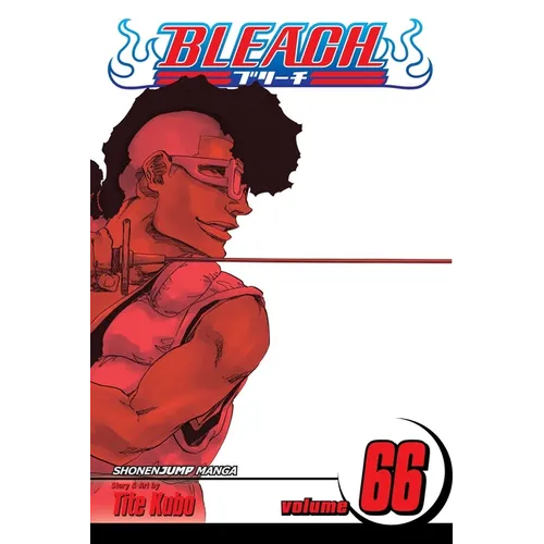 Bleach, Vol. 66 - Paperback